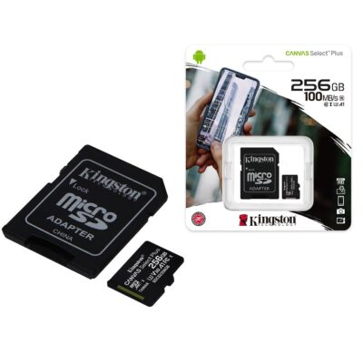 Memoria MicroSD Kingston Select Plus 256GB clase 10